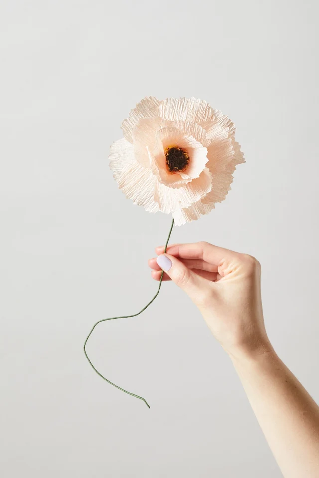 FLEUR EN PAPIER, PIVOINE, NU