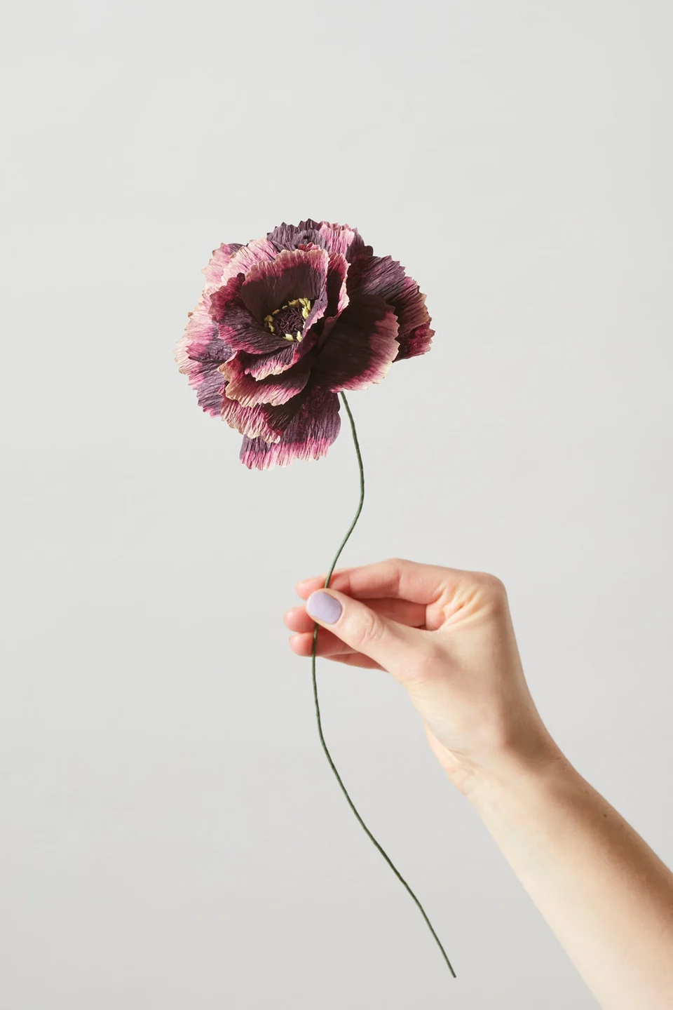 FLEUR DE PAPIER, PIVOINE, AUBERGINE