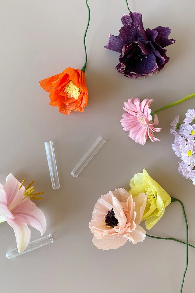 FLEUR EN PAPIER, PIVOINE, NU