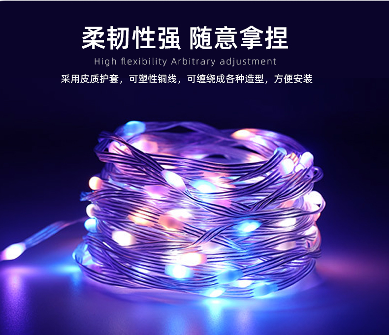 智能控制氛围灯皮线灯幻彩led灯串圣诞彩灯节日装饰灯户外露营灯