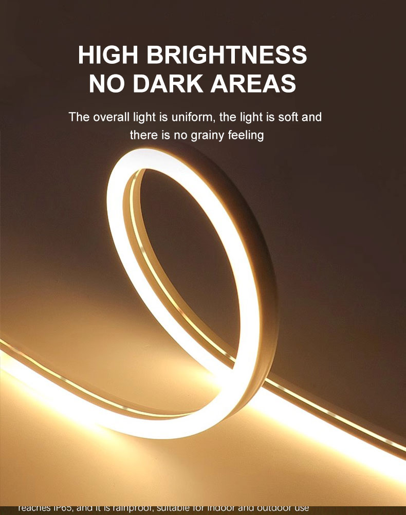 Monochrome neon light strip outdoor waterproof LED light strip low voltage flexible light bar bar light sign ambiance light