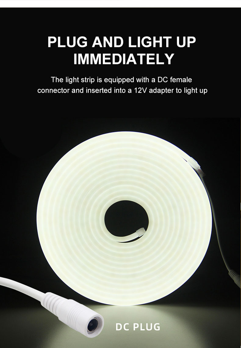 Monochrome neon light strip outdoor waterproof LED light strip low voltage flexible light bar bar light sign ambiance light