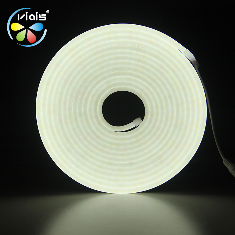 Monochrome neon light strip outdoor waterproof LED light strip low voltage flexible light bar bar light sign ambiance light