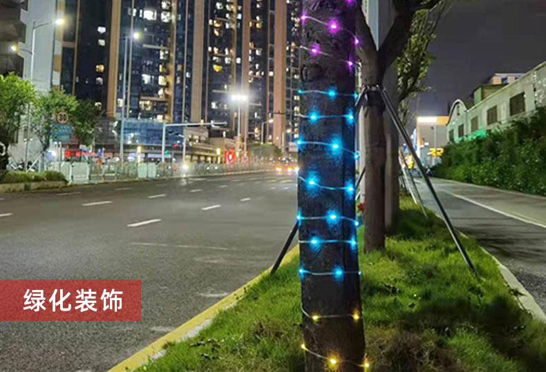 智能控制氛围灯皮线灯幻彩led灯串圣诞彩灯节日装饰灯户外露营灯
