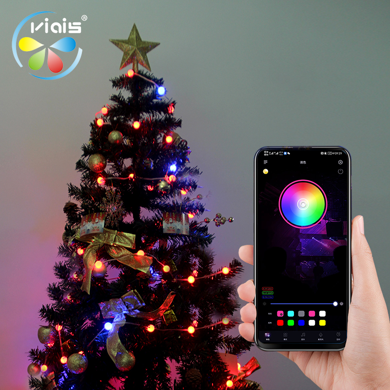5V Colorful Leather Wire Light Christmas Day Outdoor Camping Tent Atmosphere Light Bluetooth USB Interface Full Color LED Light String