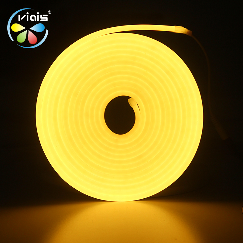 Monochrome neon light strip outdoor waterproof LED light strip low voltage flexible light bar bar light sign ambiance light