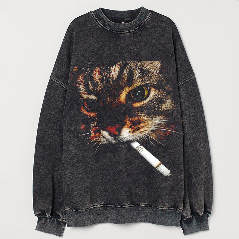 Funny Cat Meme Vintage Sweatshirt-Teevibe