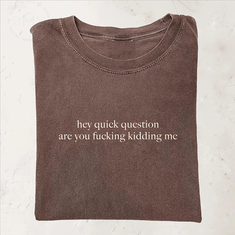 Hey Quick Question Are You Kidding Me T-shirt-Teevibe