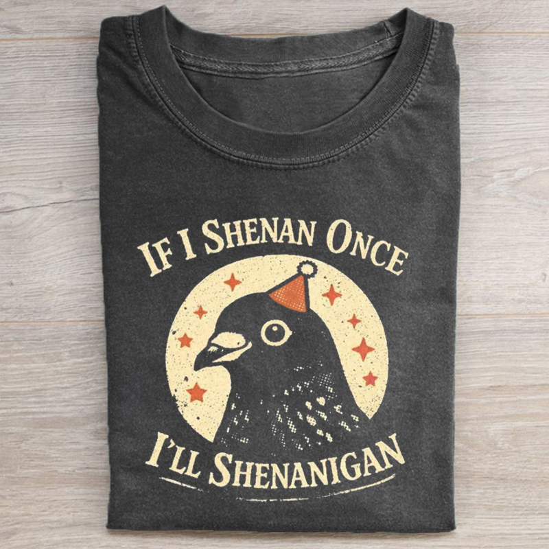 If I Shenanigan Once Funny Pigeon T-shirt-Teevibe