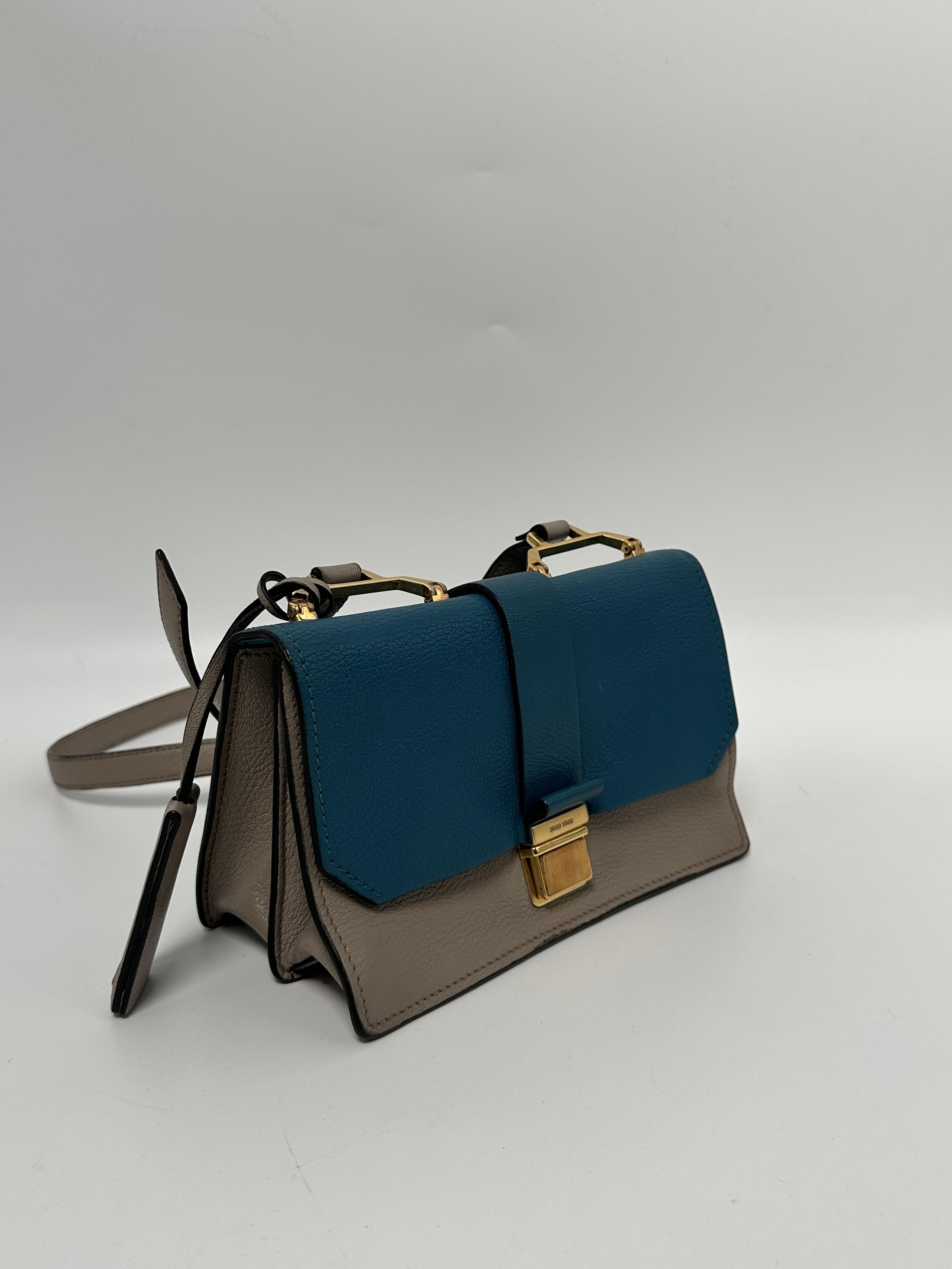 Pre-owned miu miu leather Shoulder Bags Argilla & Sole Madras Shoulder Bag ZS001XMM
