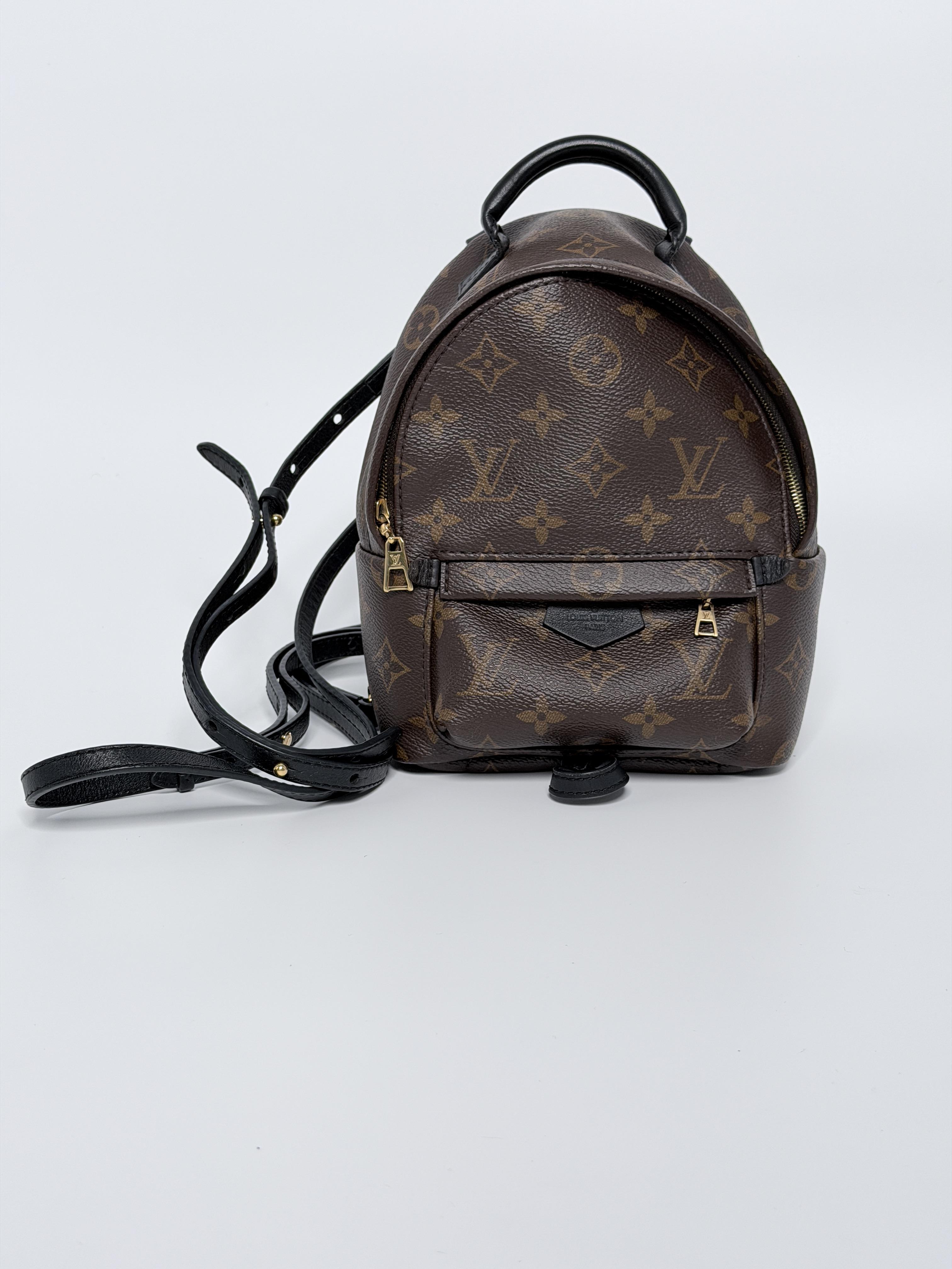 Monogram Palm Springs Backpack Mini P004LV
