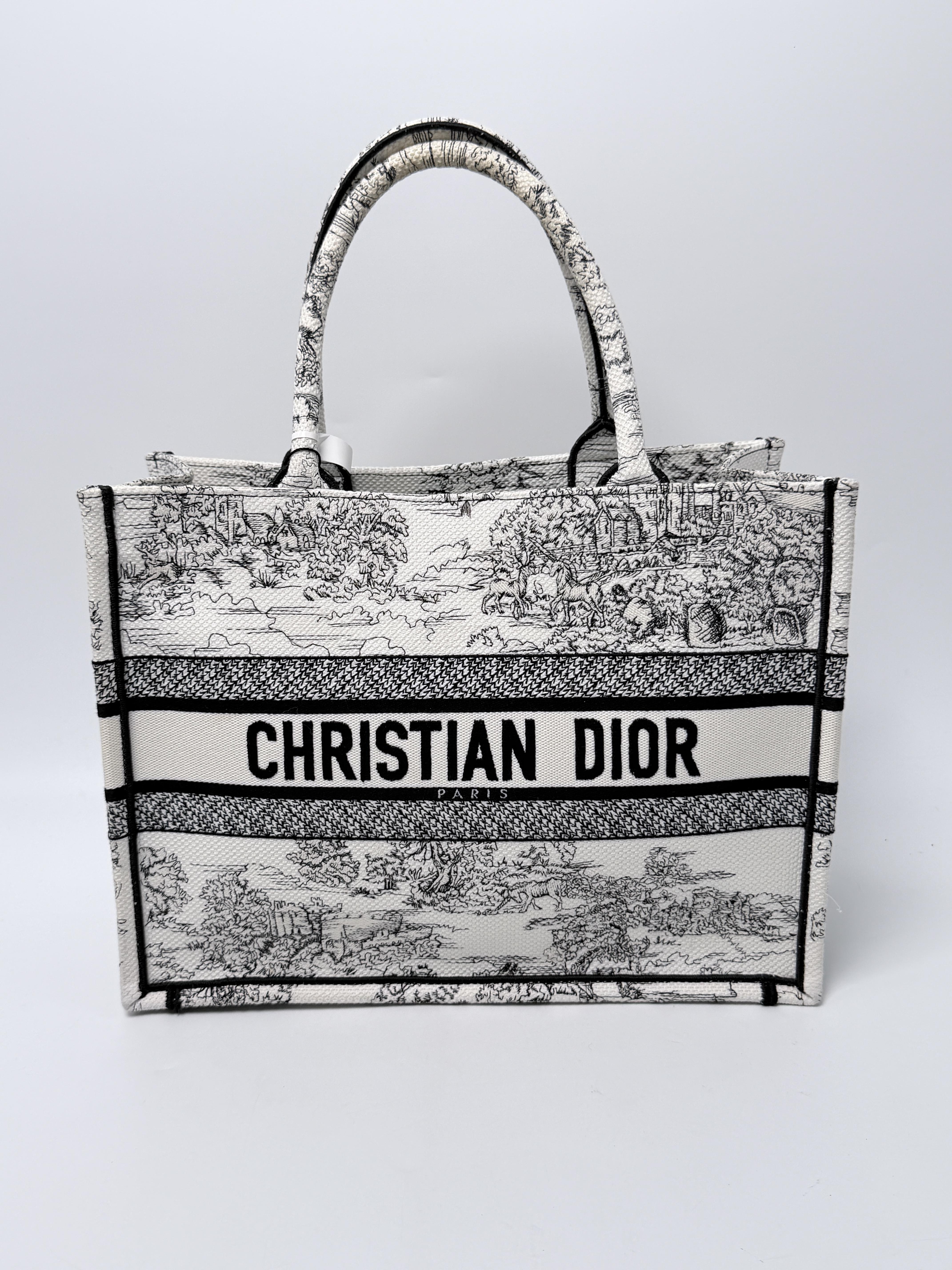 Medium Book Tote Bag Plan de Paris Embroidered Handle Handbag JA1393DR