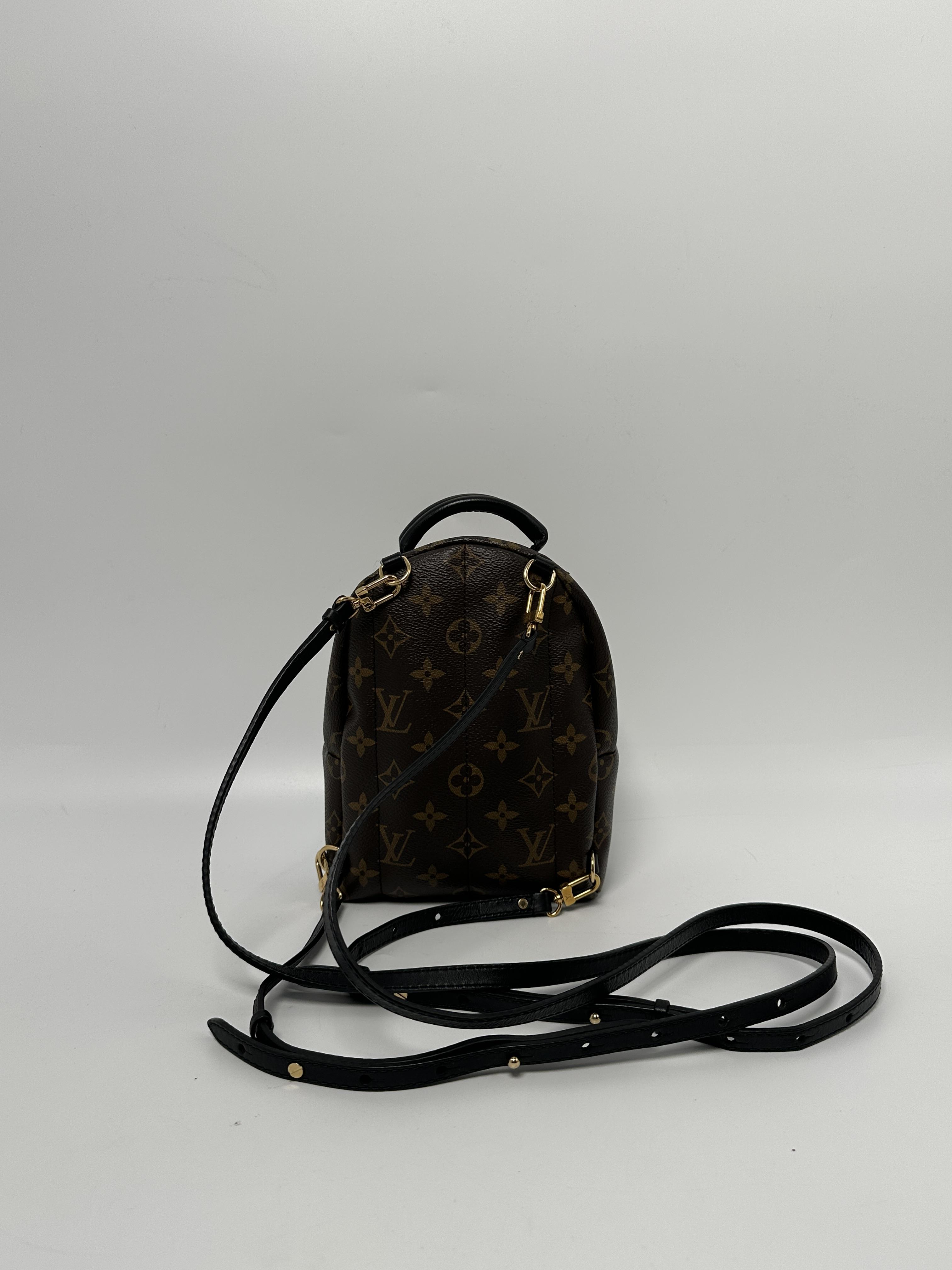 Palm Springs Mini Backpack World Tour Monogram ZS0232LV