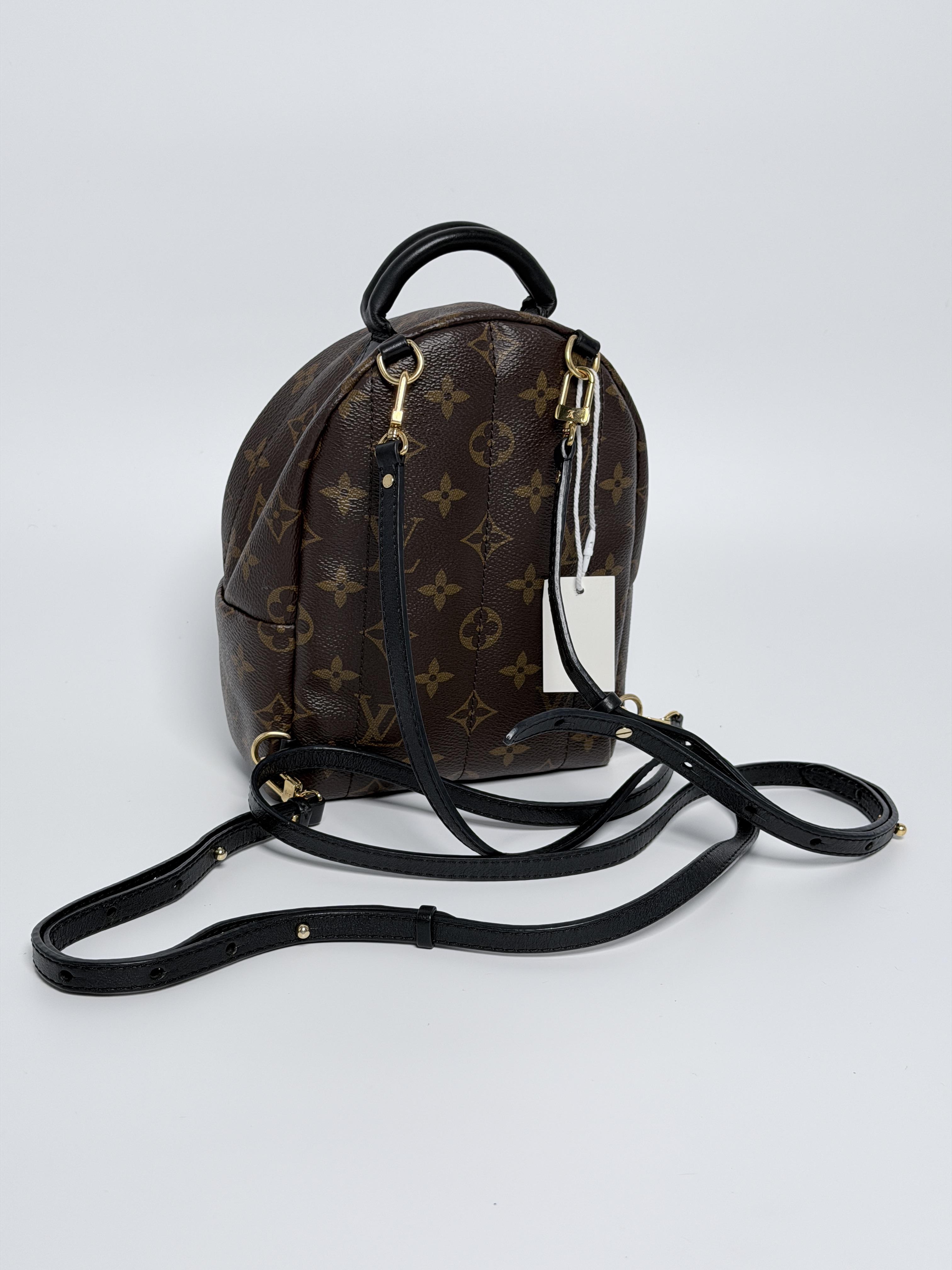 Monogram Palm Springs Backpack Mini P004LV