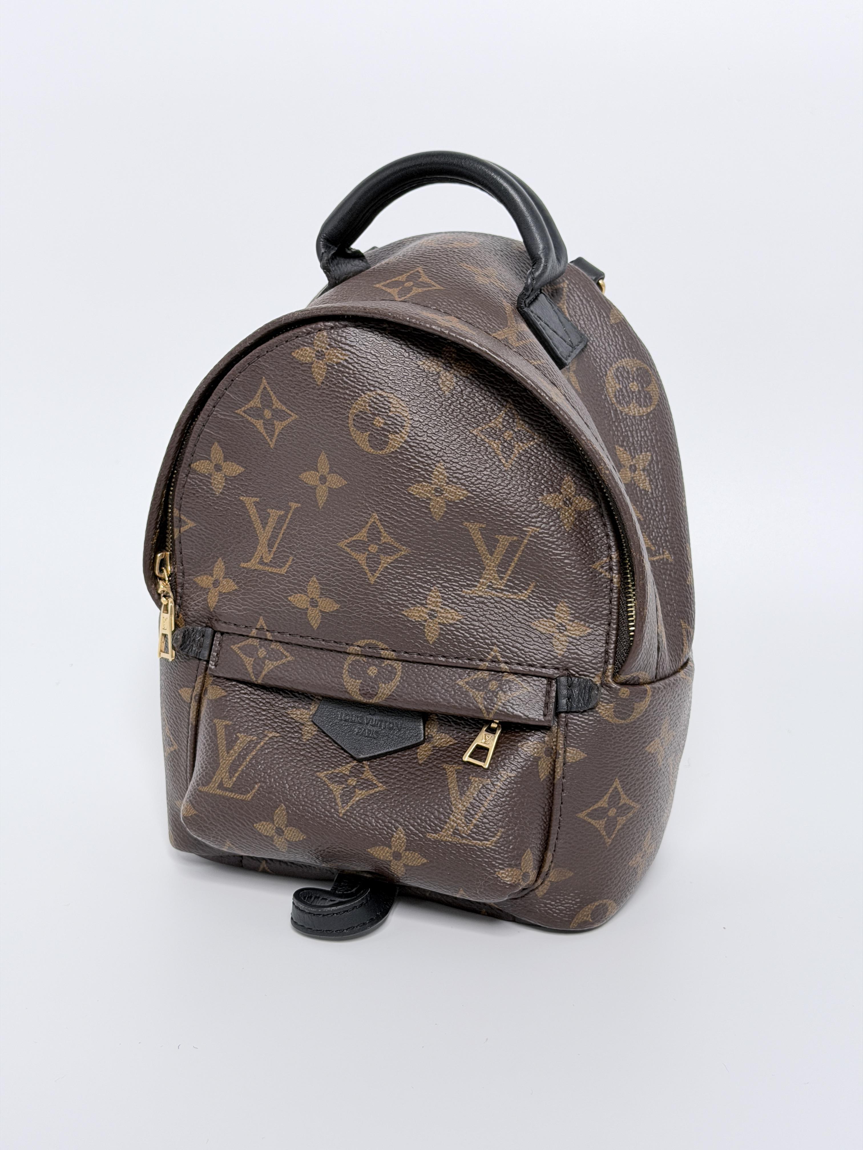 Monogram Palm Springs Backpack Mini P004LV