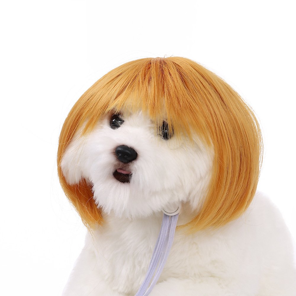 wig