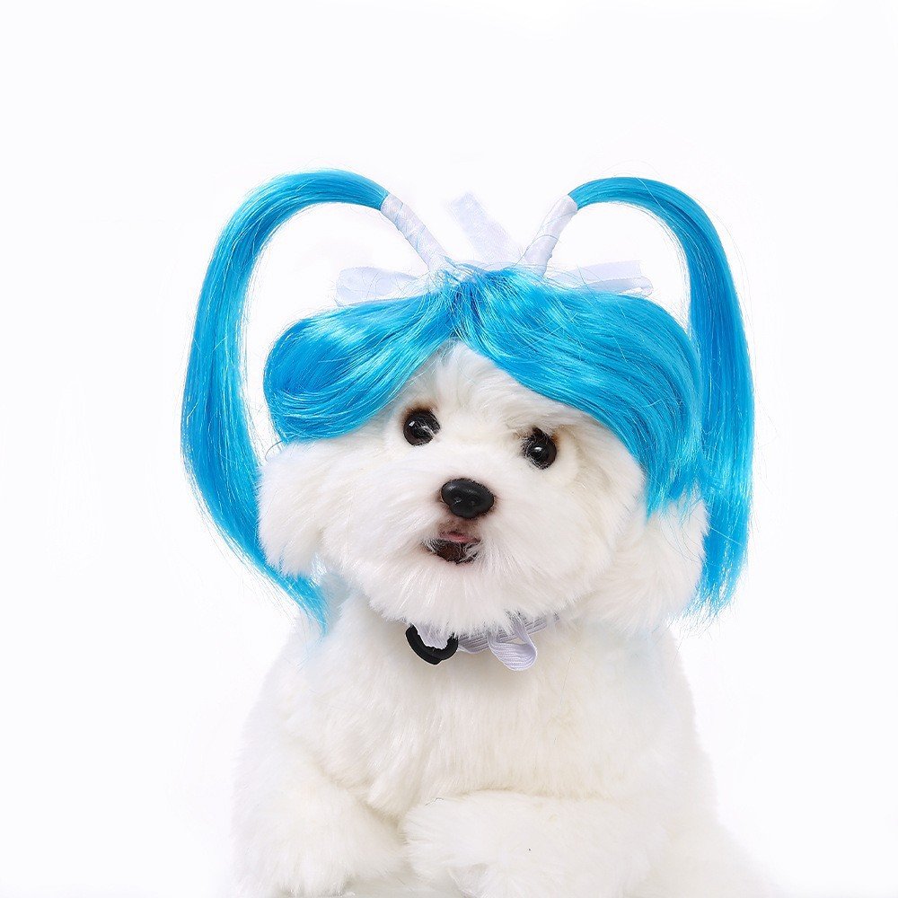 wig