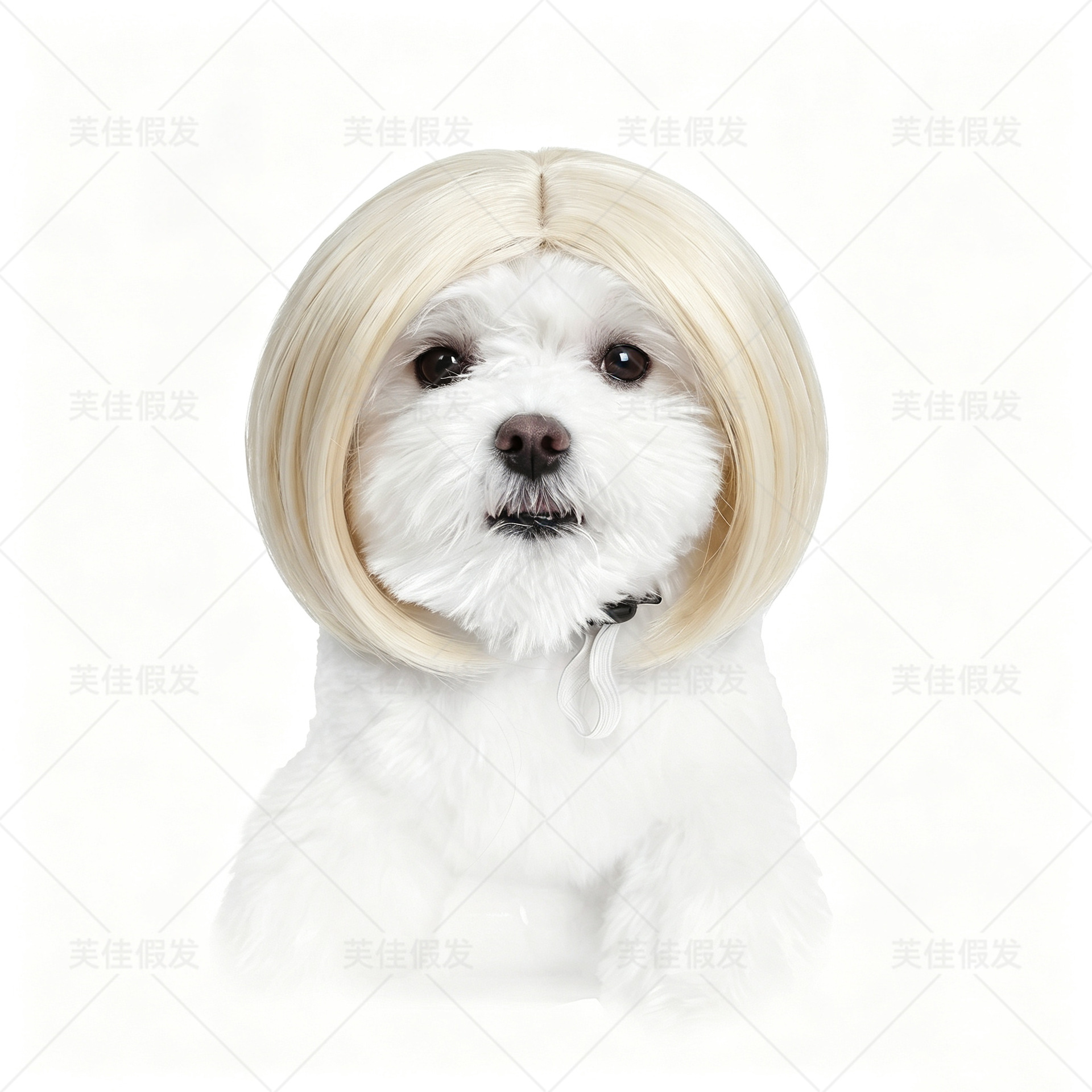 wig