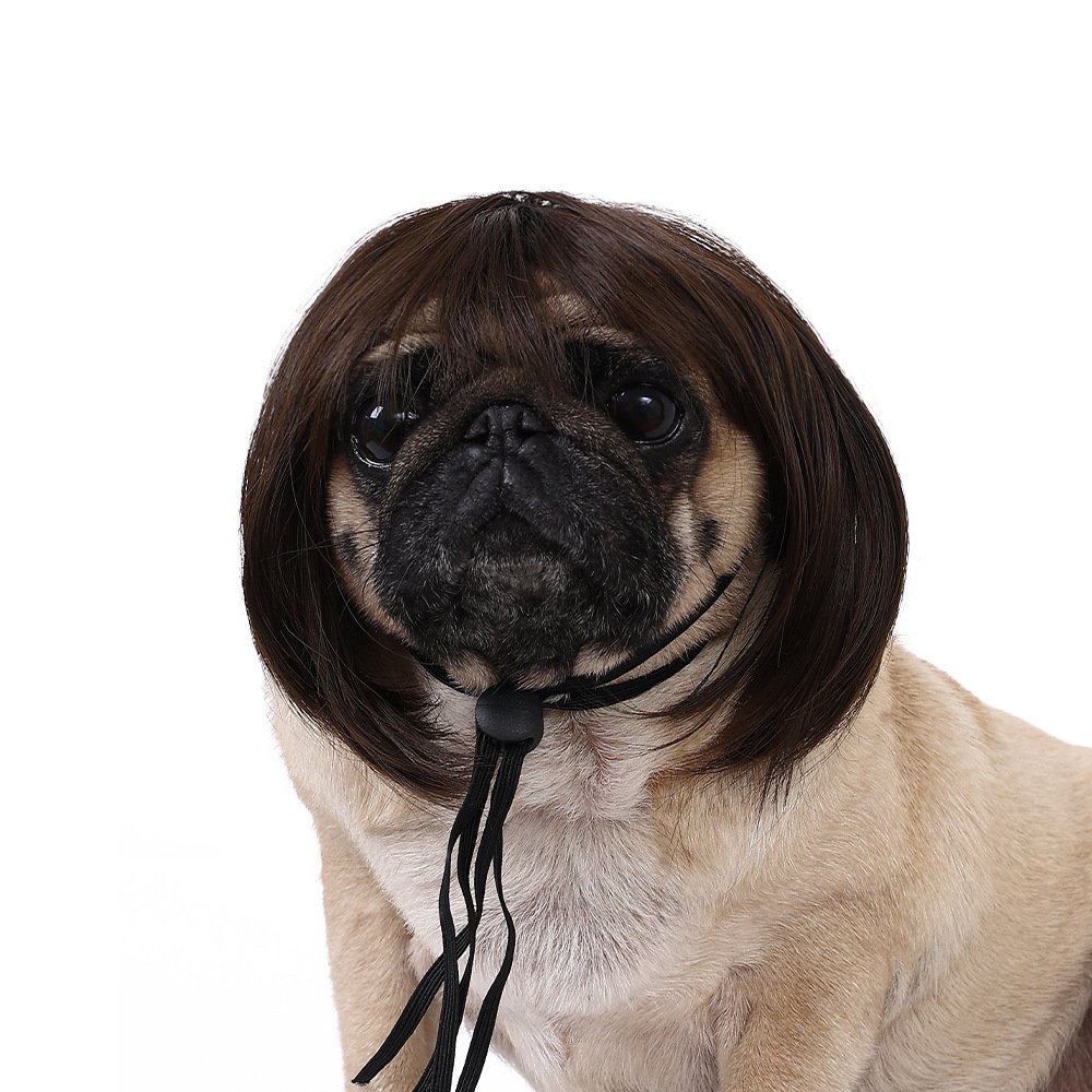wig