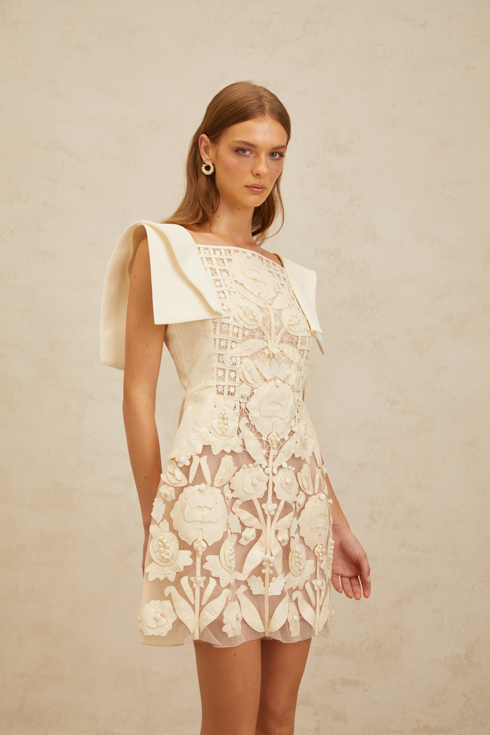 Floral Appliqué Crochet Mini Dress