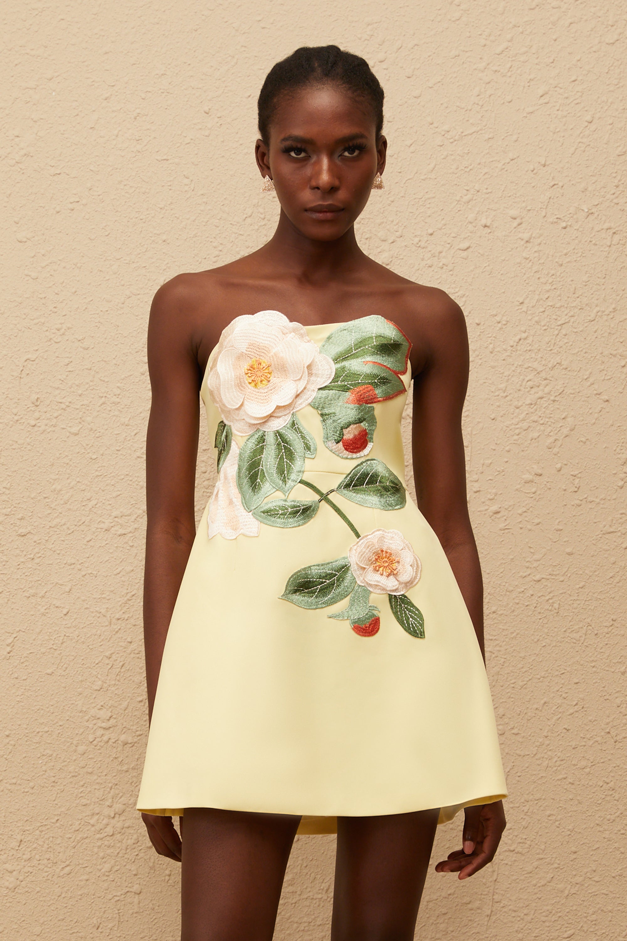 Appliqué Floral Bustier Mini Dress