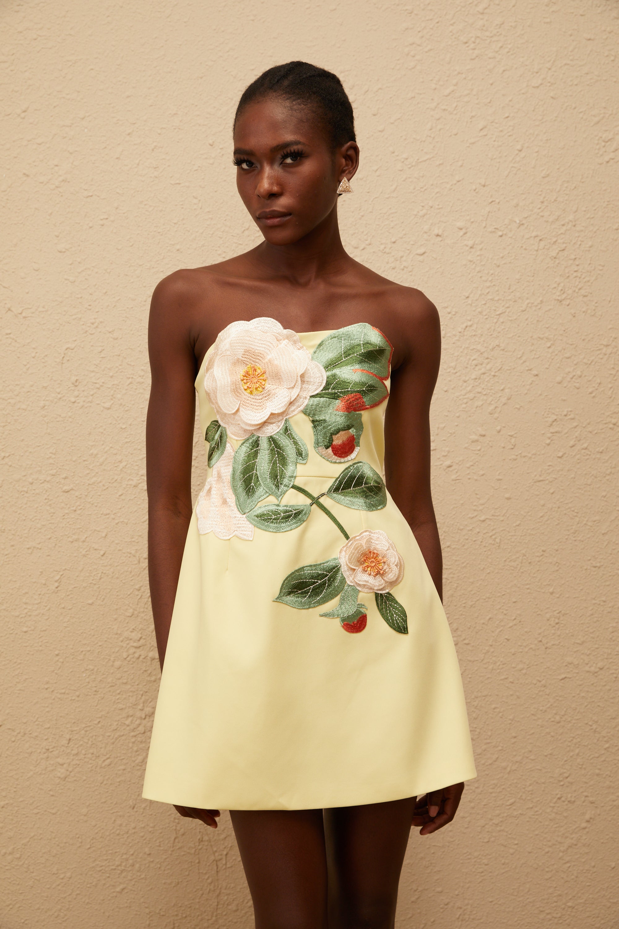 Appliqué Floral Bustier Mini Dress