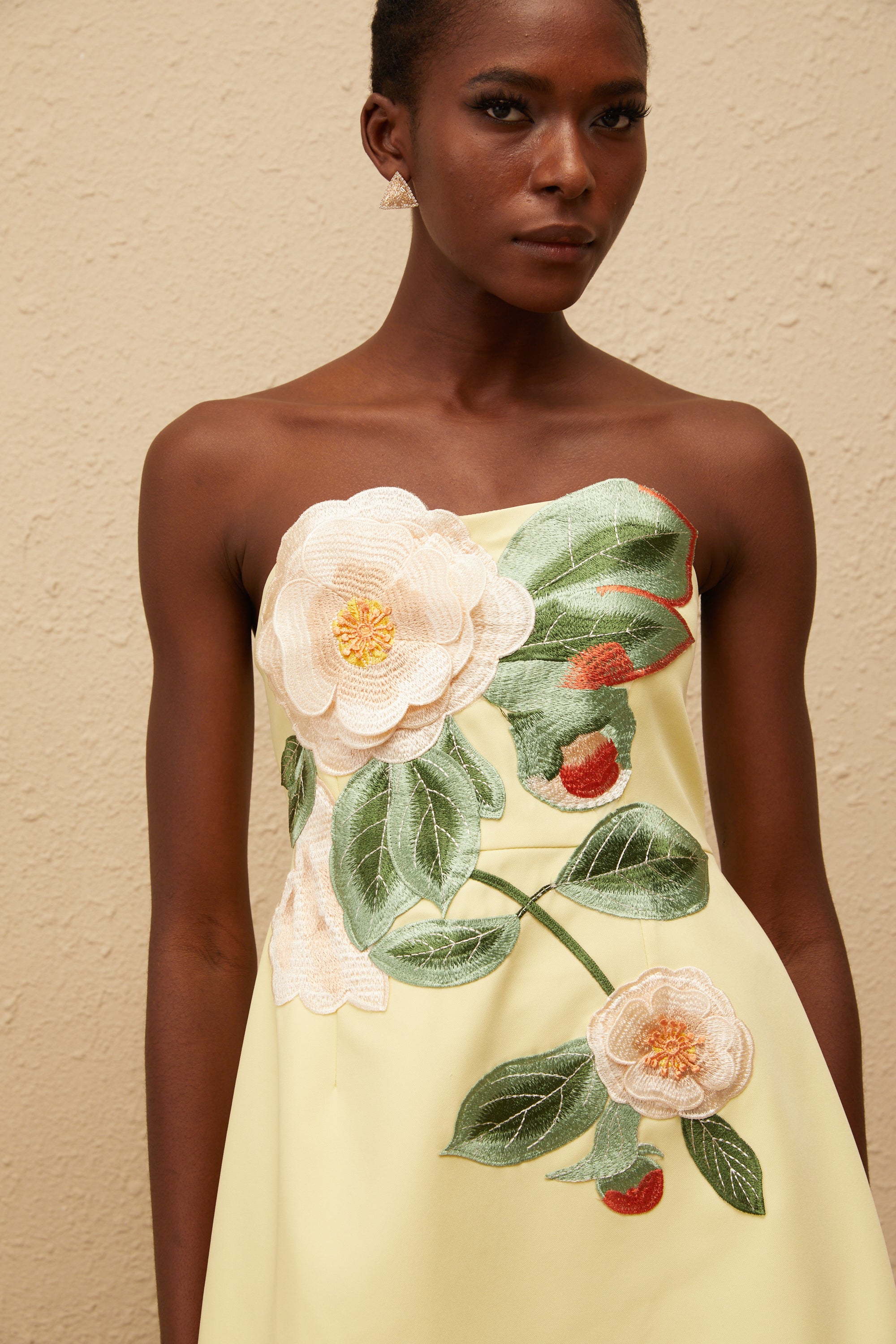 Appliqué Floral Bustier Mini Dress