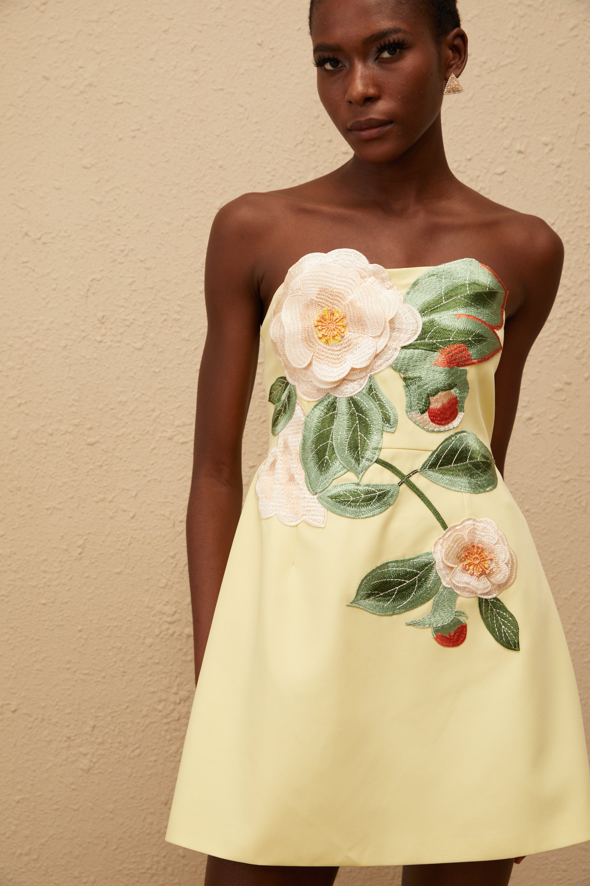 Appliqué Floral Bustier Mini Dress