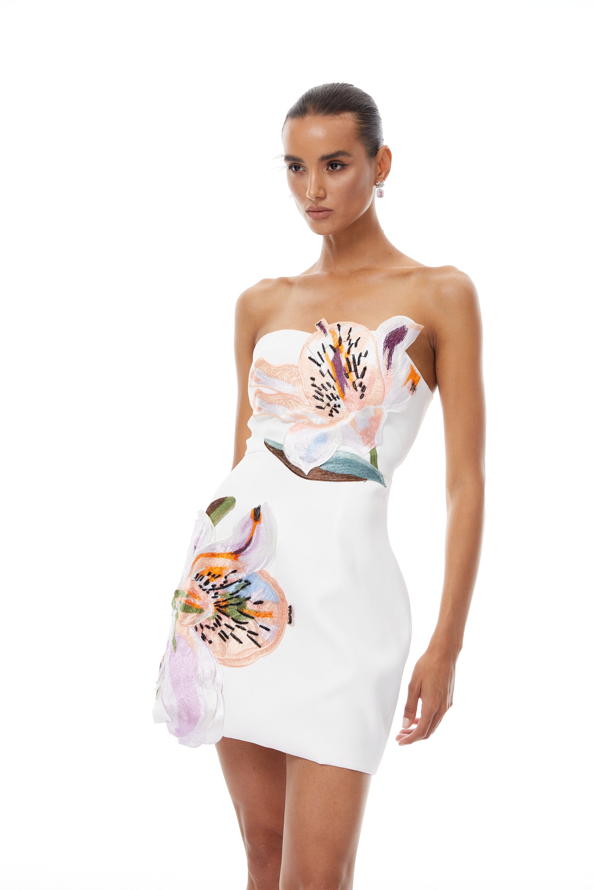 Appliqué Floral Bustier Mini Dress
