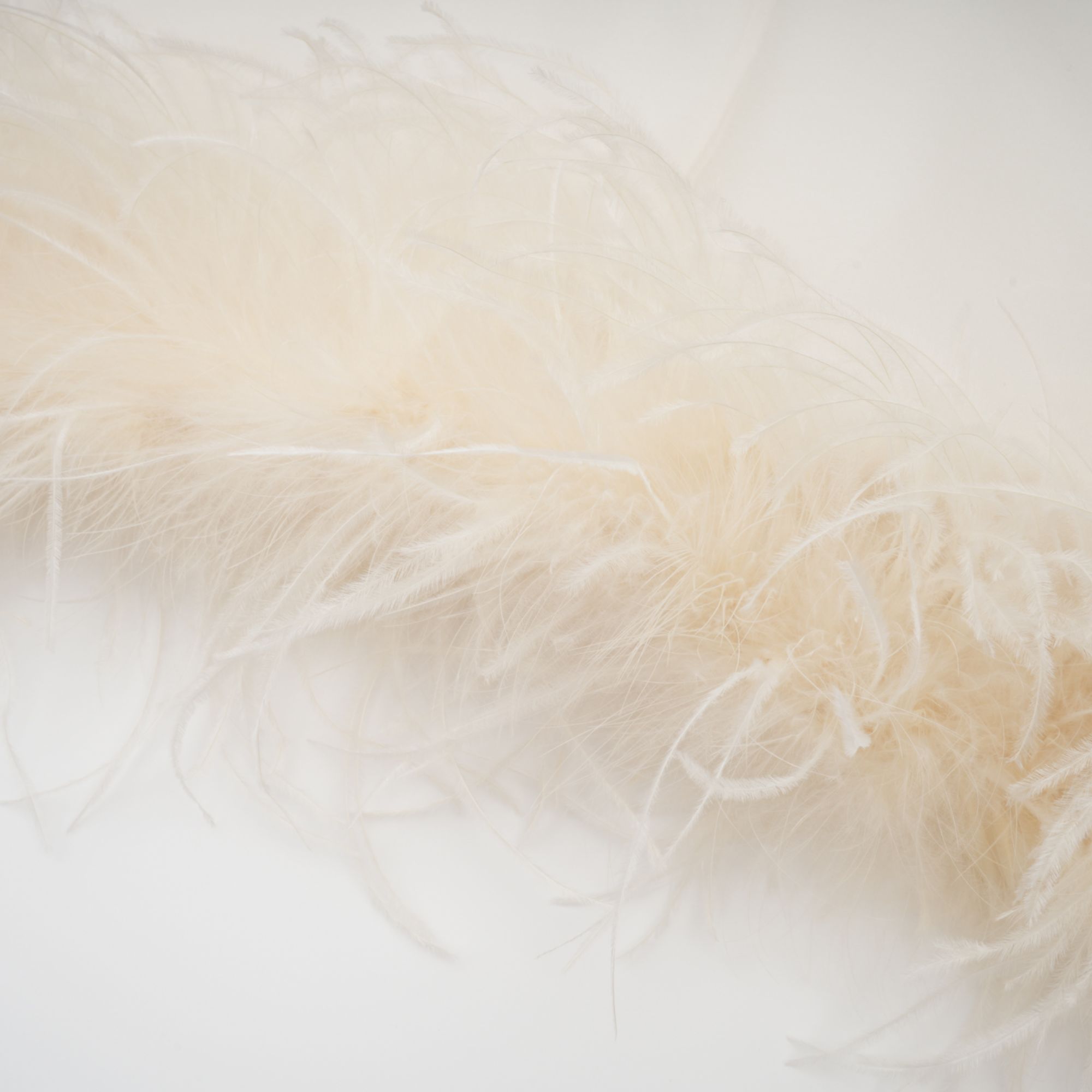 White Feather Trim Mini Dress