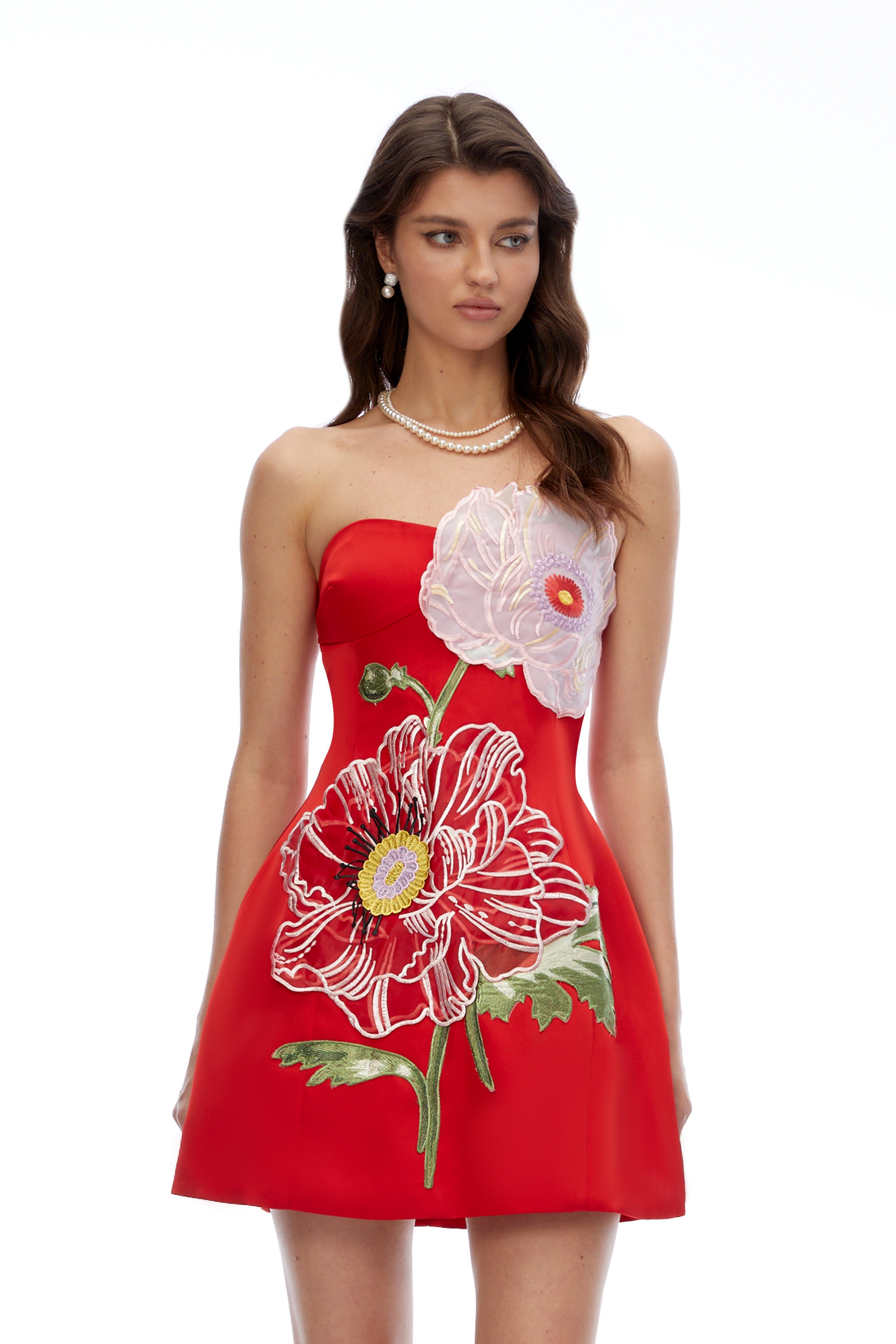 Damaris Red Flora Embroidered Mini Dress – Miss Rosier - Women's