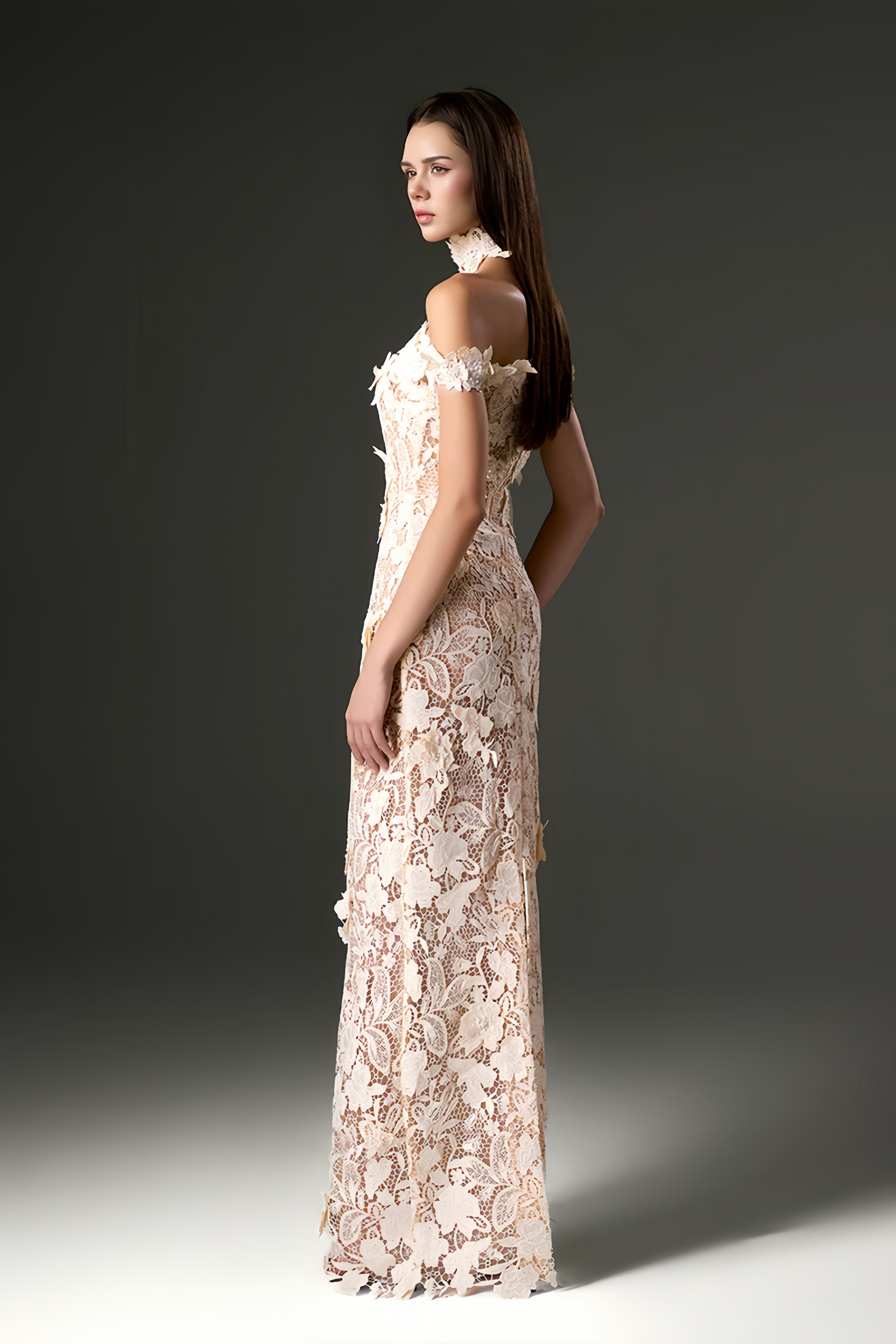 Off-Shoulder Floral Lace Appliqués Dress