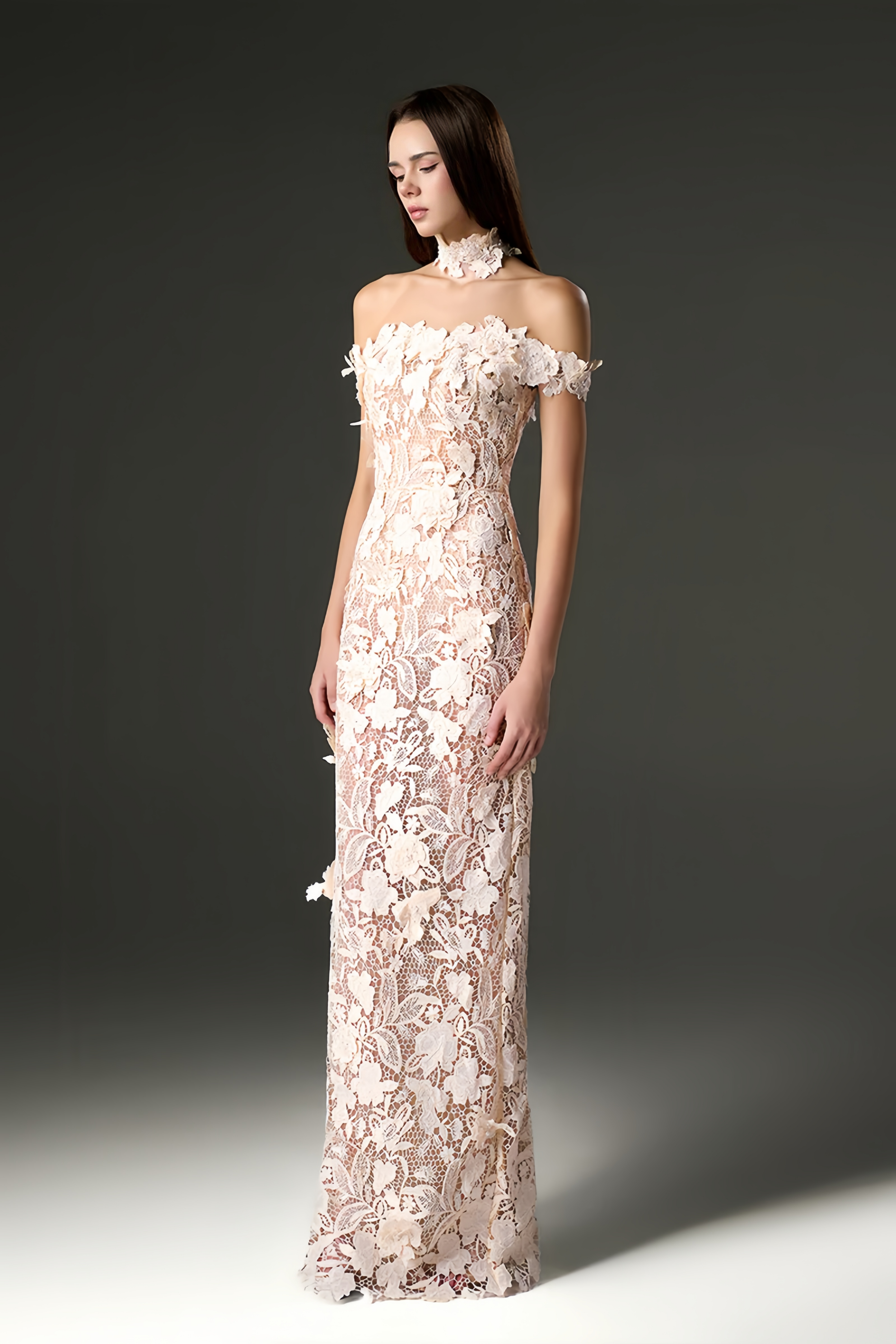 Off-Shoulder Floral Lace Appliqués Dress