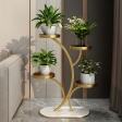Plant Stand Raised Plant Display, 4 Tiers or 5 Tiers Number Of Tiers Options with 2 Color Options, for Indoor Plant Display