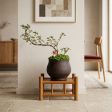 Plant Stand Slatted Top or Solid Top Style Options, 6"–16" Size Options, Raised Plant Display, for Indoor Plant Display