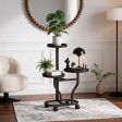 Plant Stand, for Indoor Plant Display, 4 Finish Options with 6 Base Type Options, Raised Plant Display