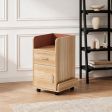6 Model Options File Cabinet, 12 Finish Options, Office File Organization, for Office File Storage