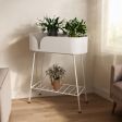 3 Color Options Plant Stand, Plant Display Stand, Raised Plant Display, for Indoor Plant Display