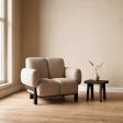 Accent Chair, Lounge Chair with 6 Color Options, Individual Seating Format, for Lounge Seating