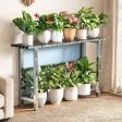 8 Size Options Plant Stand, Plant Display Stand, Raised Plant Display, for Indoor Plant Display
