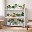 36 Size Options Plant Stand, for Indoor Plant Display, Raised Plant Display with Plant Display Stand
