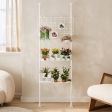 8 Size Options Plant Stand, 2 or 3 Number Of Shelves Options with Raised Plant Display, for Indoor Plant Display