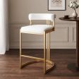 Bar Stool 4 Seat Height - Floor To Seat Options, for Counter Seating, 2 Color Options with 5 Number Of Items Included Options, 3 Color Options