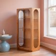 Display Cabinet Without Lighting or With Lighting Lights Included Options, Display Storage Format, Display Storage Cabinet, for Display Storage