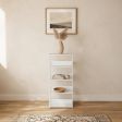 Playful Modern Open Frame Bookshelf  Colorful Metal Storage Shelf for Kids Bedrooms & Playrooms