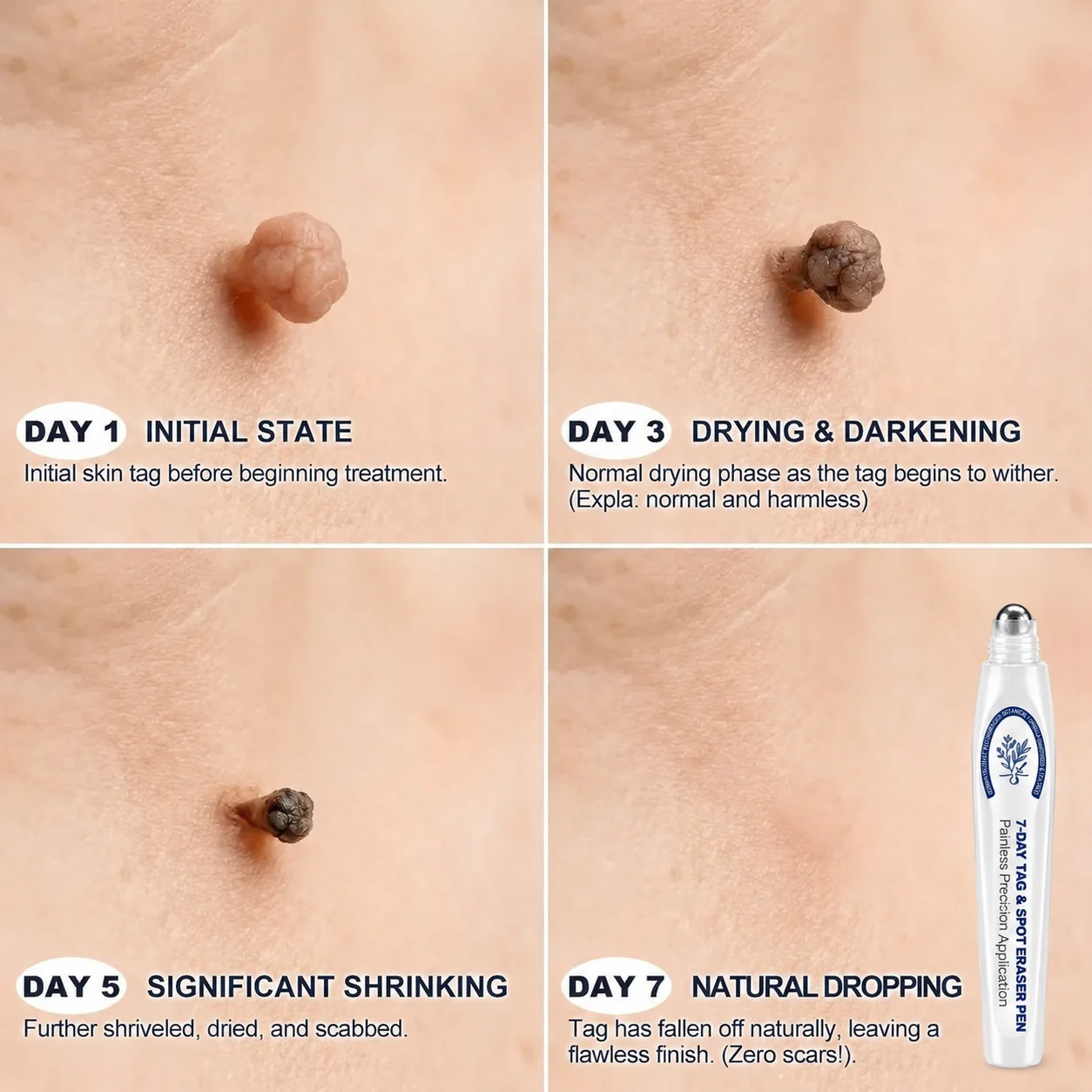 Day 1 to Day 7 product process