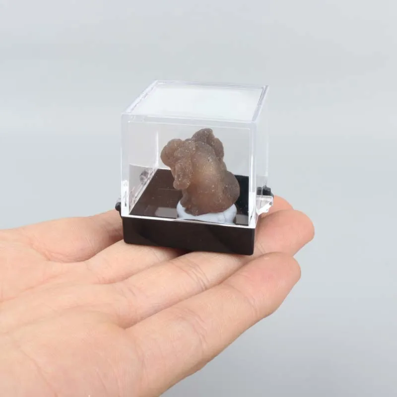 Natural Gemstone Rock Crystal Mineral Quartz Specimen Boxes - Fossil Sample Collection