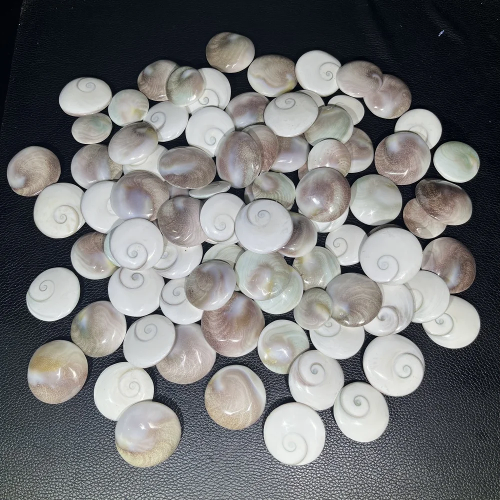 New Arrival Round Shape Natural Sun Shell Healing Crystal - Mineral Specimen Decor