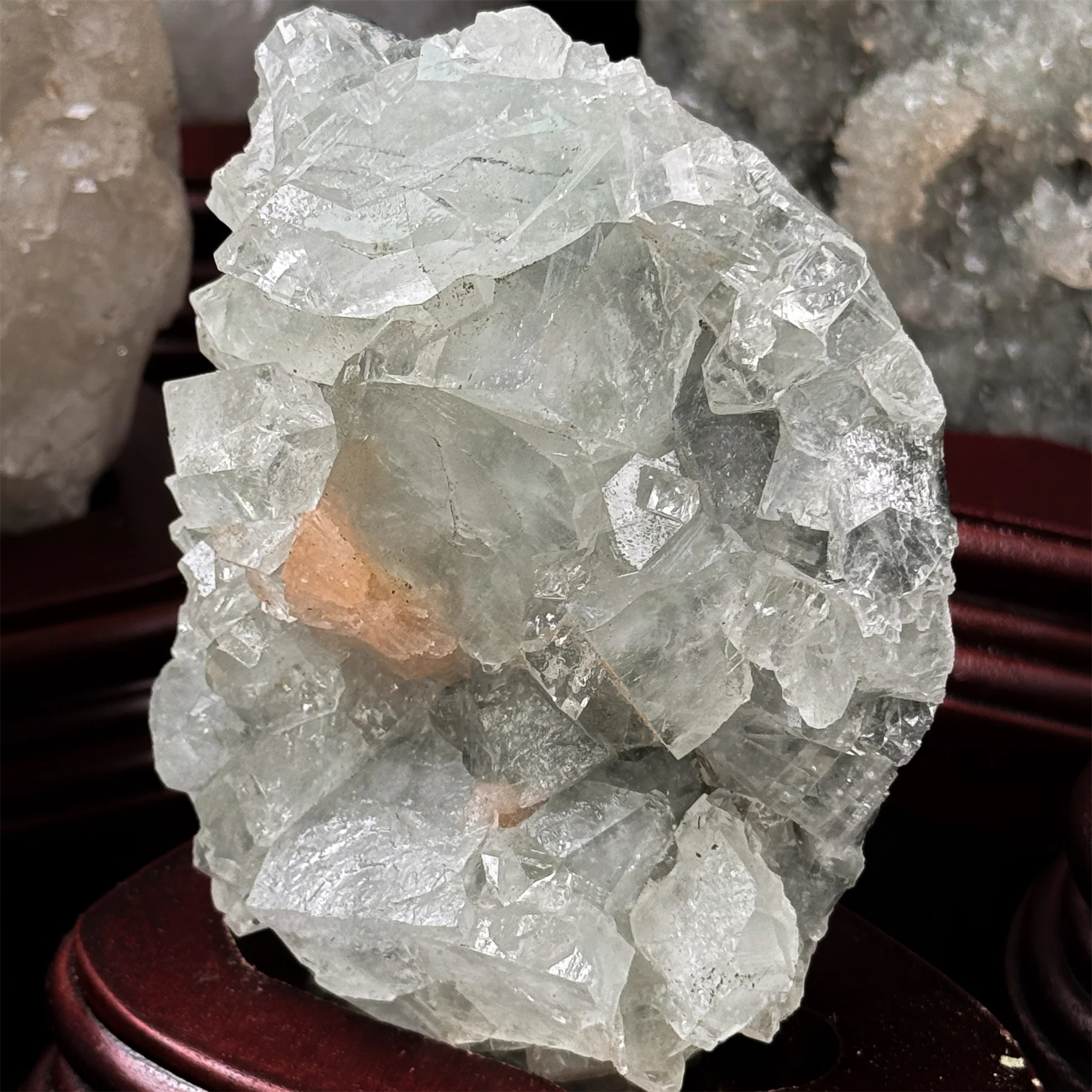 Apophyllite Fossil Natural Specimen Crystal Mineral Cluster - Rare Green Mineral Art