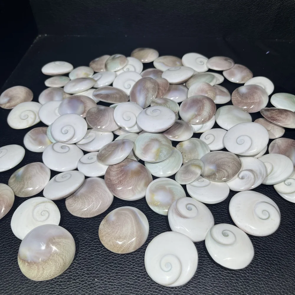 New Arrival Round Shape Natural Sun Shell Healing Crystal - Mineral Specimen Decor
